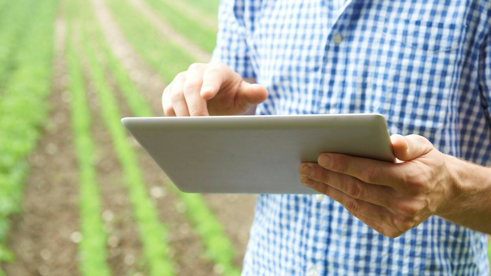 Close Up Of Farmer Using Digital Tablet On Organic Farm|soaplast-america-latina